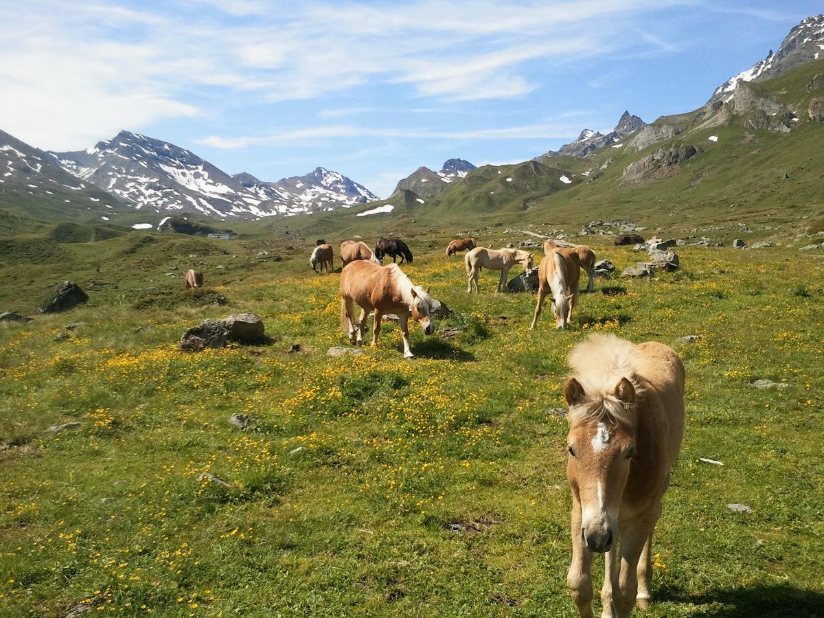Garni Corinna Hotel Ischgl